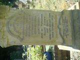 image of grave number 730760